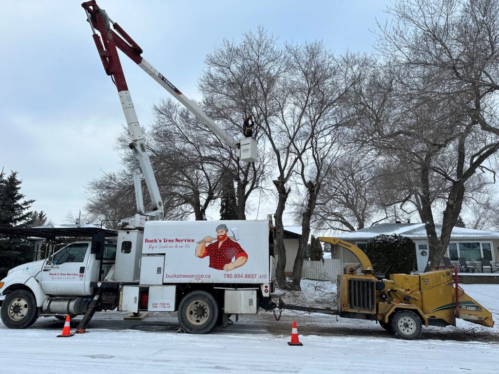 A truck from Buck's Tree Service in Edmonton