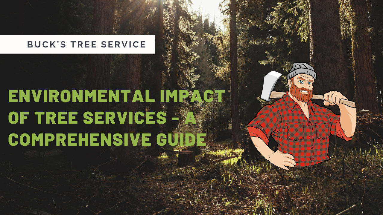 Environmental Impact of Tree Services – A Comprehensive Guide