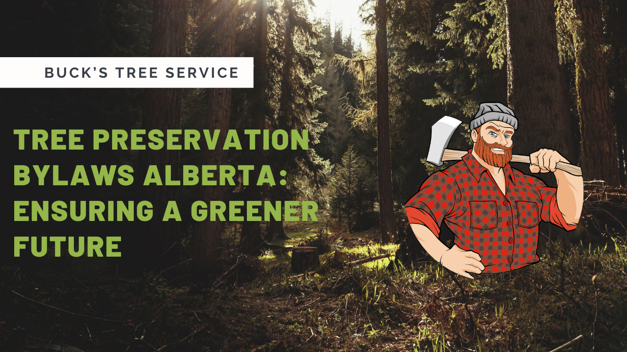 Tree Preservation Bylaws Alberta: Ensuring a Greener Future