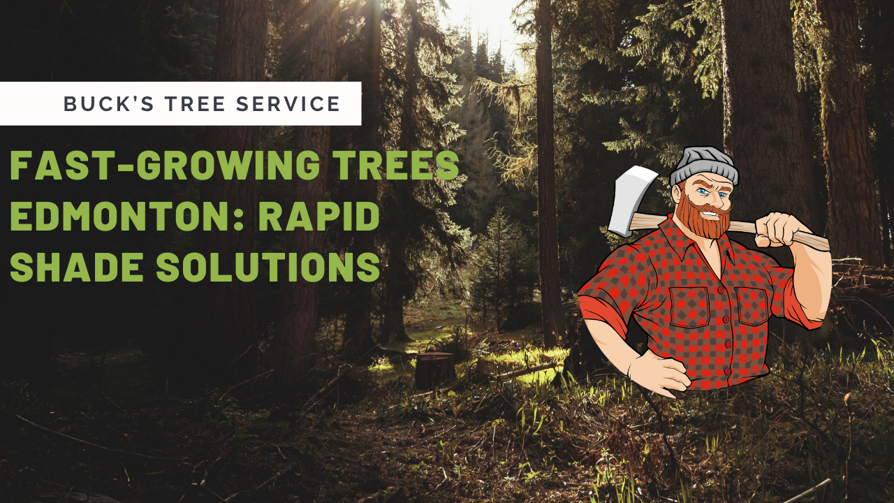 Fast-Growing Trees Edmonton: Rapid Shade Solutions