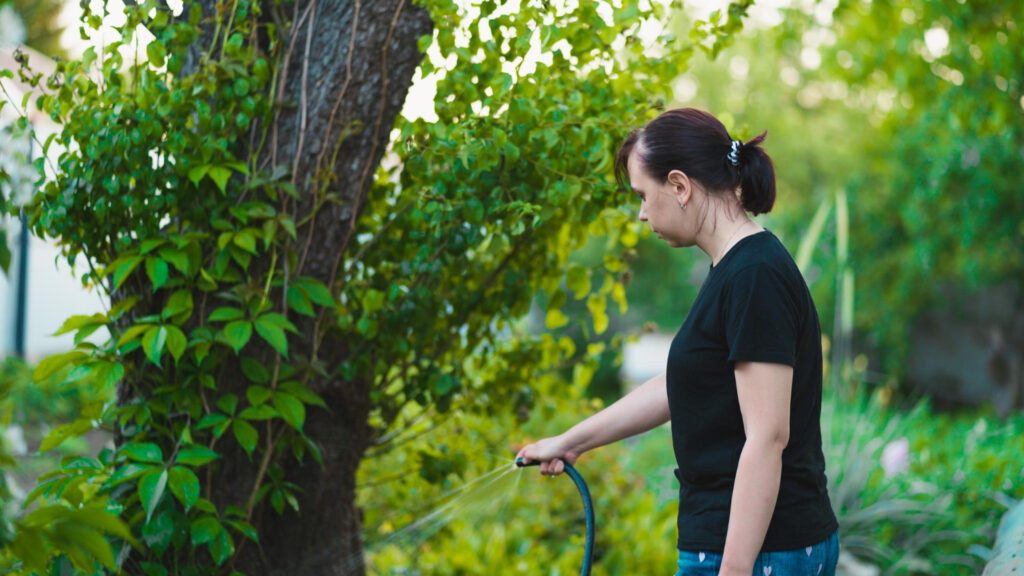 tree care guide